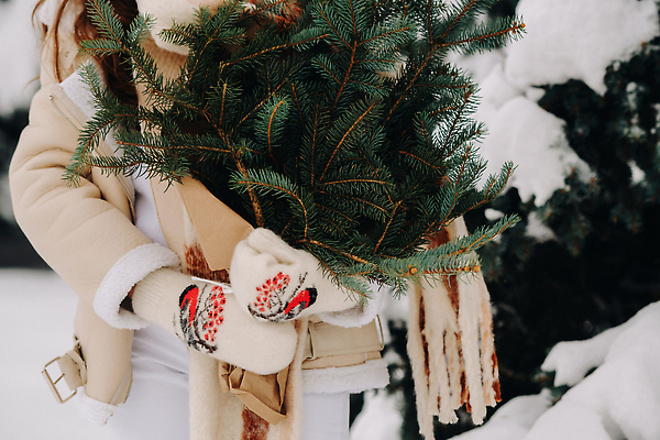 포토 JPG 해외이미지 여자 장갑 겨울 한명 들기 상반신 성인 사람없음 앞모습 쌓기 설원 나뭇가지 분위기 전나무 방한용품 성인여자한명만 해외포토 나무 1 잡화 계절 뷰포인트 컨셉 모션 눈_날씨 사람 오브젝트 여자한명만 성인여자만 파일형식
