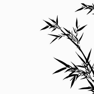 EPS 해외이미지 나무 식물 전통 디자인 꽃 실루엣 아시아 선 줄기 백그라운드 잎 꽃무늬 패턴 일러스트 자연 추상 잉크 프레임 한국 미술 동양인 그래픽 장식 세트 뷰티 갈색 일본 검은색 중국 흰색 나뭇가지 화려 숲 대나무 그림 유기농 동쪽 고립 구김 엘리먼트 이국적 스타일 벡터 국경 해외202309 해외일러스트 웰빙 나라 컬러 컨셉 무늬 모션 문화예술 촬영기법 인종 방향 생태계 파일형식