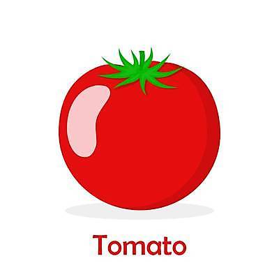 EPS 해외이미지 클립아트 1 디자인 음식 컬러 컨셉 토마토 채소 일러스트 자연 건강 그래픽 빨간색 초록색 라벨 흰색 신선 플랫 만화 심볼 사인 유기농 심플 내추럴 고립 채식주의자 벡터 해외202309 해외일러스트 웰빙 프레임 생태계 채식 파일형식