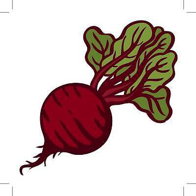 EPS 해외이미지 식물 디자인 음식 백그라운드 잎 다이어트 채소 일러스트 재료 자연 추상 건강 종류 미술 빨간색 초록색 컬러풀 샐러드 수확 흰색 신선 달콤 설탕 허브 심볼 오브젝트 유기농 뿌리 비타민 내추럴 고립 고체 바이오 비트 엘리먼트 채식주의자 벡터 비건 해외202309 해외일러스트 웰빙 컬러 무늬 농업 문화예술 맛 생태계 채식 영양소 파일형식