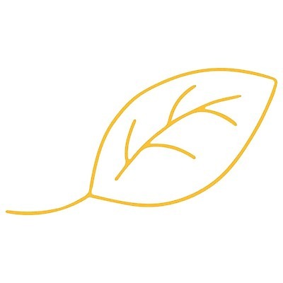 EPS 해외이미지 클립아트 모양 나무 식물 손 꽃 백그라운드 잎 꽃무늬 라인일러스트 일러스트 자연 그래픽 여름 노란색 정원 봄 가을 나뭇가지 낙서 스케치 자르기 심볼 오브젝트 사인 에코 유기농 심플 윤곽 손그림 고립 엘리먼트 벡터 해외202309 해외일러스트 웰빙 계절 컬러 무늬 모션 미술 신체부위 환경 생태계 파일형식