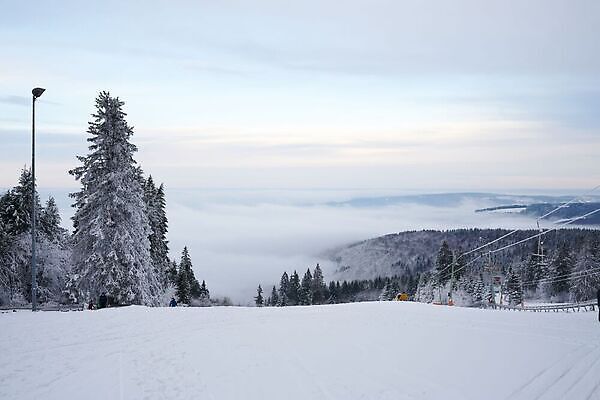 포토 JPG 해외이미지 나무 웰빙 계절 공원 컬러 여행 크리스마스 동화 날씨 휴가 풍경 경사 사람없음 빛 햇빛 환경 냉동 놀람 백발 숲 서리 마법 공학 내추럴 생태학 슬라이드 절정 환상 수평선 겨울풍경 해외202309 해외포토 식물 헤어스타일 공공시설 교육 기념일 감정 컨셉 겨울 표정 태양 파일형식
