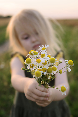 포토 JPG 해외이미지 식물 꽃 행복 야생동물 어린이 꽃다발 밭 자연 건강 한명 사람 뒷모습 초록색 금발 햇빛 뷰티 노란색 환경 봄 산책 기쁨 육아 자유 아기 허브 데이지 내추럴 알레르기 걸음마 캐모마일 해외202309 해외포토 동물 1 헤어스타일 계절 감정 뷰포인트 컬러 컨셉 농업 모션 휴식 태양 질병 생태계 파일형식