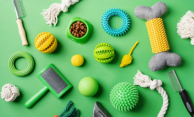 포토 JPG 해외이미지 밧줄 인형 공 사람없음 초록색 하이앵글 개밥그릇 개뼈다귀 애견빗 해외202309 해외포토 반려용품 그릇 줄 뷰포인트 컬러 오브젝트 애견용품 애견간식 파일형식