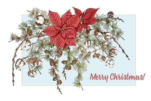 EPS 해외이미지 크리스마스 겨울 일러스트 사람없음 풀잎 포인세티아 목화솜 해외202309 해외일러스트 계절 기념일 꽃 잎 풀_식물 솜 파일형식 벡터