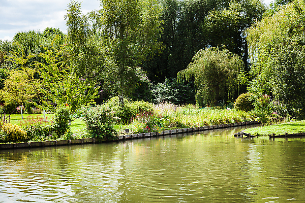 포토 JPG 해외이미지 식물 계절 공원 꽃잎 꽃 분홍색 컬러 백그라운드 잎 꽃무늬 패턴 자연 하늘 사람없음 야외 빨간색 초록색 컬러풀 태양 뷰티 노란색 정원 보라색 봄 튤립 프랑스 성장 벚꽃 신선 개화 원예 운하 내추럴 해외202309 해외포토 자연요소 공공시설 유럽 무늬 취미 생태계 파일형식