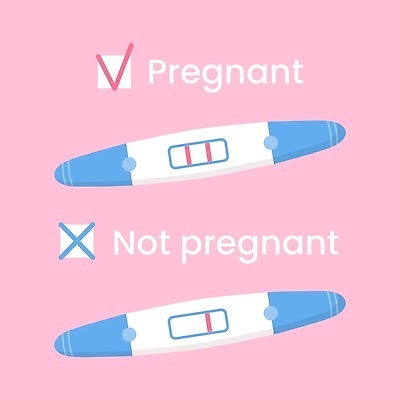 EPS 해외이미지 여자 선 분홍색 조각 일러스트 가족 엄마 설계 설명 약 임산부 임신 장비 아기 막대기 플랫 결과 분석 보따리 긍정 조립 고립 부정적 벡터 해외202309 해외일러스트 감정 컬러 컨셉 의학 관계 모션 사람 파일형식