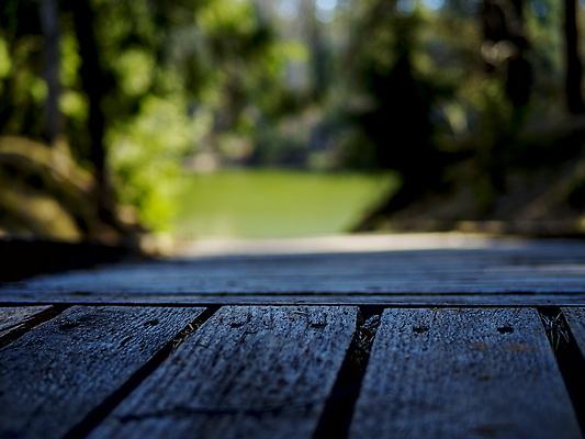 포토 JPG 해외이미지 감정 파도 가구 호텔 휴식 바닥 파노라마 사람없음 야외 목재 가로 초록색 빛 컬러풀 햇빛 반사 평화 일출 침묵 고요 황혼 새벽 회색 자유 안개 우아함 고독 널 크리스탈 캘리포니아 장면 부드러움 광 수평선 카피스페이스 해외202309 해외포토 자연요소 나무 바다 컬러 생활용품 컨셉 재료 숙소 날씨 촬영기법 태양 노을 미국 소리 일몰 공백 감각 광석 파일형식