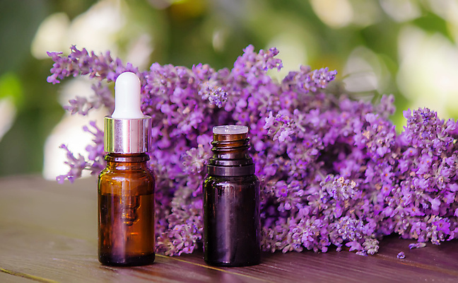 포토 JPG 해외이미지 식물 꽃 백그라운드 꽃무늬 신체 재료 자연 유리 탁자 휴식 건강 사람없음 목재 치료 뷰티 약 보라색 스파 목욕 화장품 흰색 신선 마사지 상품 허브 제비꽃 향수 피부관리 유기농 향기 아로마 향 아로마테라피 테라피 라벤더 조제 내추럴 돌봄 에센스 위생관리 해외202309 해외포토 나무 웰빙 컬러 가구 컨셉 무늬 의학 모션 재질 관리 청결 생태계 냄새 만들기 파일형식