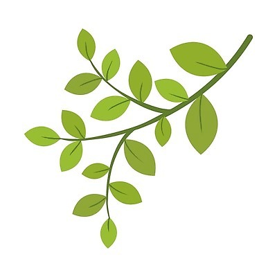 EPS 해외이미지 나무 식물 템플릿 디자인 과학 백그라운드 컨셉 잎 일러스트 자연 미술 그래픽 장식 초록색 정원 봄 흰색 나뭇가지 플랫 만화 수집 허브 심볼 사인 유기농 생물학 심플 윤곽 손그림 내추럴 고립 바이오 생태학 엘리먼트 벡터 해외202309 해외일러스트 웰빙 계절 교육 컬러 문화예술 생태계 파일형식