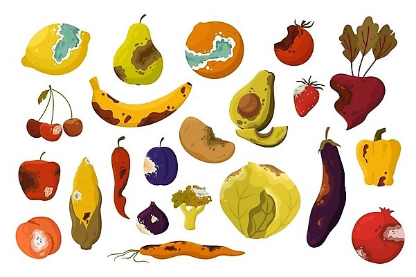 EPS 해외이미지 음식 토마토 채소 오렌지 일러스트 재료 자연 딸기 가지 감자 바나나 옥수수 세트 갈색 주방 당근 쓰레기통 체리 플랫 사과 쓰레기 상품 브로콜리 만화 수집 레몬 피부 양배추 복숭아 석류 후추 자두 아보카도 무화과 낭비 나쁜 고립 곰팡이 비트 살구 썩음 해로움 벡터 해외202309 해외일러스트 컬러 컨셉 과일 곡류 뿌리채소 신체부위 향신료 생태계 파일형식