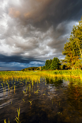 포토 JPG 해외이미지 나무 공원 유럽 호수 여행 밭 자연 하늘 낚시 휴가 파노라마 국립공원 사람없음 야외 초록색 물 파란색 강 반사 일몰 캠핑 보트 숲 언덕 장면 지역 내추럴 벨로루시 옛날 전국 해외202309 해외포토 자연요소 식물 공공시설 나라 컬러 농업 배_교통 레저 촬영기법 노을 생태계 파일형식