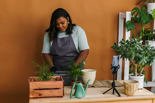포토 JPG 해외이미지 여자 화분 흑인 한명 상반신 성인 앞모습 스마트폰 잡기 책상 원예 원예식물 삼각대 원예용품 플로리스트 성인여자한명만 인터넷방송 1인미디어 홈가드닝 해외202309 해외포토 서양인 식물 직업 1 뷰포인트 가구 생활용품 모션 사람 취미 핸드폰 스마트기기 방송 여자한명만 성인여자만 파일형식
