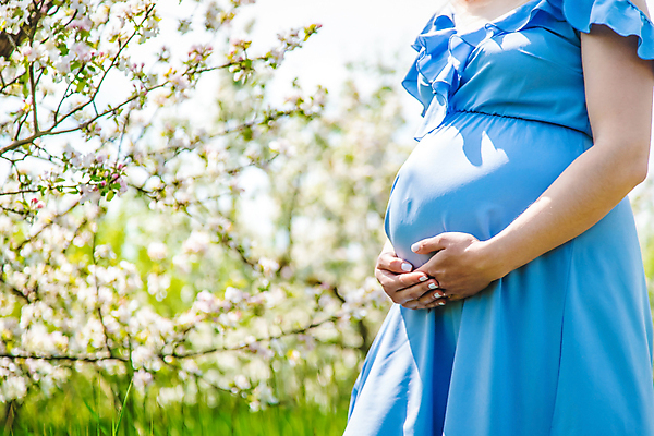 포토 JPG 해외이미지 백인 여자 꽃 안기 한명 상반신 성인 옆모습 걷기 정원 산책 임산부 태교 성인여자한명만 해외202309 해외포토 서양인 식물 1 뷰포인트 모션 휴식 사람 임신 여자한명만 성인여자만 파일형식