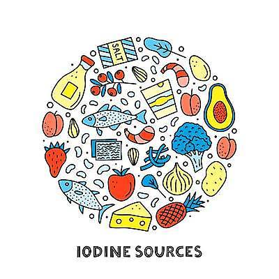 EPS 해외이미지 열매 채소 일러스트 딸기 양파 치즈 새우 감자 마늘 어류 사람없음 원형 낙서 사과 브로콜리 가득함 파인애플 복숭아 소금 손그림 드로잉 건강식품 아보카도 아기자기 해외202309 해외일러스트 도형 식물 음식 컨셉 과일 유제품 건강 갑각류 미술 수중동물 열대과일 파일형식 벡터