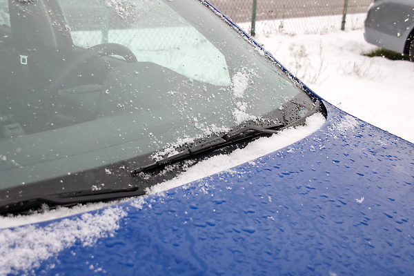 포토 JPG 해외이미지 디자인 계절 꽃 조각 백그라운드 크리스마스 겨울 패턴 창문 자동차 자연 유리 날씨 추상 사람없음 장식 파란색 뷰티 냉동 얼음 봄 추위 덮개 흰색 눈송이 시원함 크리스탈 질감 서리 결정체 보닛 1월 반투명 해외202309 해외포토 자연요소 식물 기념일 육상교통 컬러 무늬 재질 눈_날씨 뚜껑 날짜 광석 생태계 파일형식