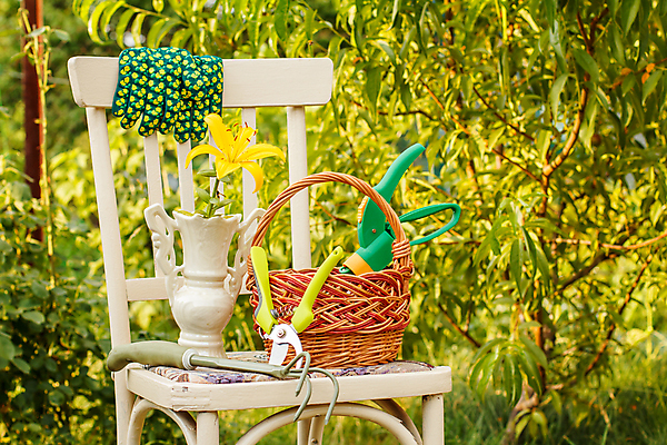 포토 JPG 해외이미지 식물 꽃 장갑 백그라운드 꽃무늬 농업 의자 자연 손잡이 사람없음 초록색 여름 바구니 금속 정원 농사 봄 장비 기구 공구 업무 작음 자르기 오브젝트 원예 날카로움 갈퀴 땅파기 목록 실행 옛날 철강 하드웨어 해외202309 해외포토 잡화 계절 산업 컬러 가구 무늬 모션 재질 취미 컴퓨터 도구 작업 크기 생태계 파일형식