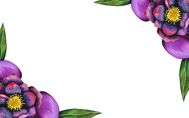 포토 JPG 해외이미지 식물 디자인 배너 꽃잎 꽃 종이 백그라운드 잎 꽃무늬 일러스트 자연 벽지 추상 프레임 미술 사람없음 그래픽 장식 정원 보라색 검은색 봄 수확 직물 신용카드 개화 스케치 그림 질감 손그림 시트 자두 내추럴 고립 엘리먼트 해외202309 해외일러스트 계절 컬러 무늬 농업 과일 문화예술 금융 생태계 파일형식