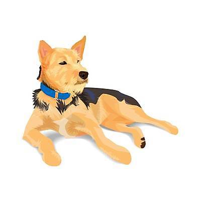 EPS 해외이미지 동물 얼굴 일러스트 포유류 그림자 사랑 반려동물 갈색 노란색 검은색 우정 흰색 개 작음 잡종 송곳니 거짓말 고립 기르기 벡터 해외202309 해외일러스트 감정 컬러 신체부위 친구 치아 크기 돌봄 파일형식