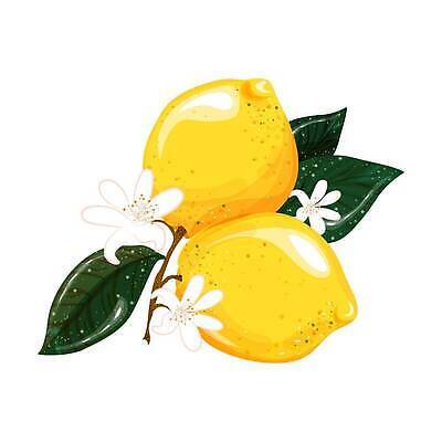 EPS 해외이미지 나무 식물 손 디자인 배너 꽃 음식 백그라운드 잎 꽃무늬 패턴 과일 일러스트 자연 추상 귤 건강 미술 초록색 노란색 파티 유행 3D 주방 주스 봄 수확 나뭇가지 신선 만화 레몬 심볼 그림 유기농 질감 복고 라임 내추럴 고립 숙성 채식주의자 벡터 해외202309 해외일러스트 웰빙 계절 음료 컬러 무늬 농업 문화예술 이벤트 신체부위 디지털합성 생태계 채식 파일형식