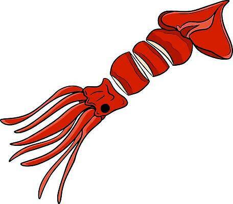 EPS 해외이미지 손 디자인 배너 음료 선 음식 백그라운드 일러스트 비즈니스 추상 육류 미술 그래픽 장식 세트 식당 검은색 식사 저녁식사 카페 감자튀김 소시지 맛 아침식사 낙서 스케치 수집 먹기 속도 메뉴 그림 윤곽 프랑스어 고립 엘리먼트 벡터 맛있는 해외202309 해외일러스트 문자 컬러 컨셉 무늬 식재료 모션 문화예술 감자 신체부위 상점 튀김 가공식품 파일형식