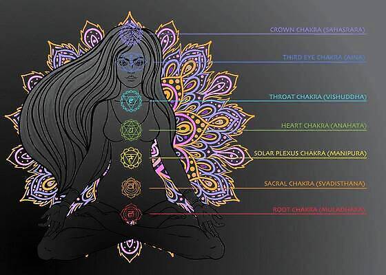 EPS 해외이미지 전통 여자 아시아 선 컬러 포즈 컨셉 꽃무늬 신체 일러스트 요가 건강 연꽃 미술 사람 화목 에너지 마음 영혼 신비 인도인 심볼 연습 명상 사인 시스템 테라피 부족 만다라 환상 벡터 아사나자세 해외202309 해외일러스트 외국인 웰빙 꽃 나라 무늬 문화예술 동양인 뷰티 요가자세 파일형식