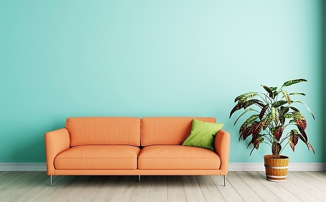 포토 JPG 해외이미지 식물 템플릿 디자인 벽 가구 액자 거실 의자 장신구 창문 베개 탁자 호텔 바닥 아파트 주택 실내 사람없음 내부 목재 장식 소파 3D 식당 식사 카펫 방 흰색 램프 고급 만들기 안락의자 리빙 목업 해외202309 해외포토 나무 컬러 생활용품 컨셉 재료 침구 모션 숙소 조명 건물 상점 디지털합성 파일형식