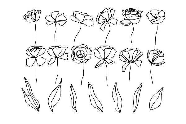 EPS 해외이미지 나무 식물 꽃 실루엣 백그라운드 잎 꽃무늬 일러스트 자연 추상 미술 장식 초록색 세트 정원 봄 수확 나뭇가지 낙서 스케치 허브 그림 심플 윤곽 내추럴 고립 엘리먼트 벡터 해외202309 해외일러스트 계절 컬러 무늬 농업 문화예술 촬영기법 생태계 파일형식