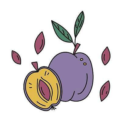 EPS 해외이미지 클립아트 음식 스티커 잎 다이어트 오렌지 과일 일러스트 재료 건강 그래픽 장식 초록색 파란색 컬러풀 갈색 직물 신선 달콤 낙서 인쇄 스케치 먹기 제비꽃 심볼 에코 유기농 날것 심플 손그림 비타민 자두 고립 숙성 엘리먼트 채식주의자 벡터 방식 비건 해외202309 해외일러스트 식물 웰빙 꽃 컬러 모션 미술 환경 맛 채식 영양소 파일형식 컨셉 문화예술