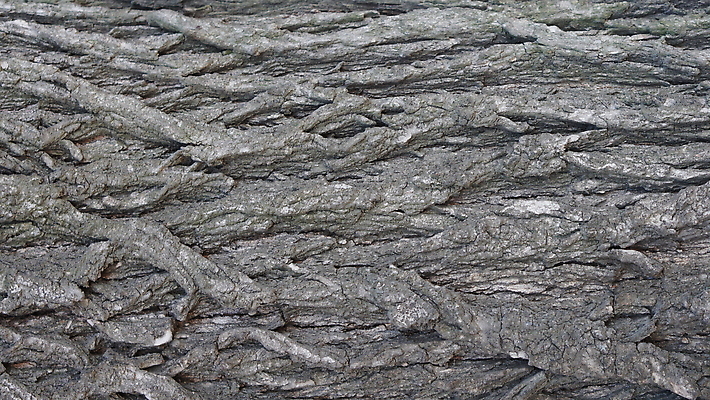 포토 JPG 해외이미지 나무 식물 디자인 선 백그라운드 패턴 자연 표면 날씨 추상 건조 사람없음 목재 갈색 환경 소나무 거친 역사 보호 널 숲 낟알 장작 피부 묘사 부식 유기농 질감 나무껍질 잡동사니 내추럴 외양간 그런지 수목 옛날 울퉁불퉁 노화 해외202309 해외포토 웰빙 컬러 컨셉 무늬 재료 신체부위 껍질 생태계 파일형식