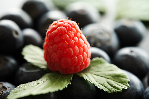 포토 JPG 해외이미지 계절 열매 음식 백그라운드 잎 다이어트 과일 재료 디저트 건강 사람없음 빨간색 파란색 수확 흰색 신선 그룹 달콤 맛 먹기 유기농 블루베리 날것 산딸기 블랙베리 흙더미 내추럴 숙성 채식주의자 맛있는 해외202309 해외포토 식물 웰빙 컬러 컨셉 농업 모션 흙 채식 파일형식 더미