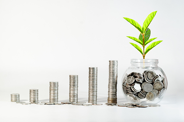 포토 JPG 해외이미지 나무 식물 백그라운드 컨셉 돈 비즈니스 자연 성공 그래프 화살 씨앗 사람없음 초록색 금융 경제 새싹 달러 동전 저축 성장 절약 시장 재산 주식 심볼 투자 상승 이익 진행 대출 개발 수입 업그레이드 자금 해외202309 해외포토 컬러 생태계 파일형식