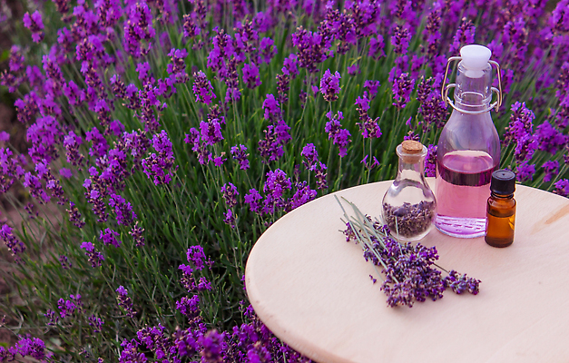 포토 JPG 해외이미지 식물 꽃 꽃다발 백그라운드 꽃무늬 밭 자연 유리 건강 사람없음 치료 뷰티 약 보라색 스파 화장품 공백 흰색 시골 신선 마사지 약초 상품 허브 제비꽃 향수 유기농 향기 아로마 향 아로마테라피 테라피 라벤더 조제 내추럴 돌봄 에센스 추출 프로방스 피펫 해외202309 해외포토 웰빙 컬러 무늬 농업 의학 모션 재질 실험기구 풀_식물 생태계 냄새 만들기 파일형식