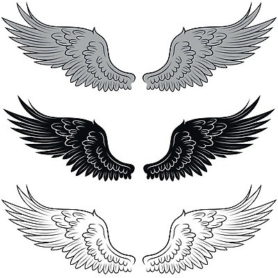 EPS 해외이미지 모양 디자인 종교 일러스트 자연 조류 하늘 천사 미술 그래픽 장식 문신 심볼 깃털 비둘기 예술가 독수리 신화 공상 큐피드 천국 휘장 전설 파라다이스 벡터 해외202309 해외일러스트 동물 문화예술 생태계 파일형식