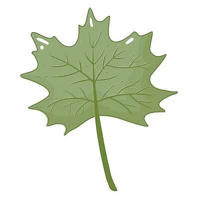 EPS 해외이미지 나무 식물 계절 잎 캐나다 일러스트 추상 여름 수확 가을 숲 11월 심볼 유기농 북쪽 내추럴 해외202309 해외일러스트 웰빙 북아메리카 무늬 농업 날짜 방향 파일형식 벡터