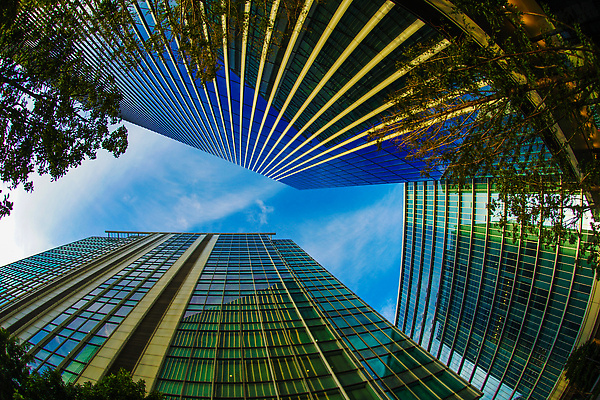 포토 JPG 해외이미지 직업 비즈니스 하늘 풍경 사람없음 건물 도시풍경 사무실 일본 맑음 고층빌딩 가을 도시 기관 해외202309 해외포토 건축물 계절 아시아 날씨 빌딩 파일형식