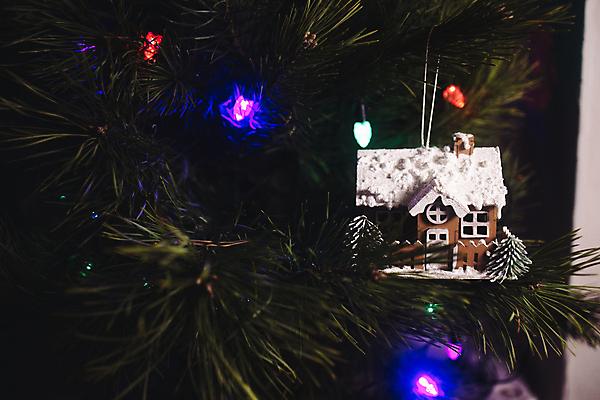 포토 JPG 해외이미지 나무 전통 디자인 계절 행복 백그라운드 컨셉 크리스마스 겨울 비즈니스 공 추상 휴가 새로움 새해 주택 기념 선물 미술 사람없음 목재 장식 가로 빨간색 초록색 빛 장난감 크리스마스트리 축제 화환 흰색 나뭇가지 축하 12월 연도 스칸디나비아 가문비나무 카피스페이스 해외202309 해외포토 식물 기념일 꽃 감정 컬러 무늬 재료 문화예술 건물 공백 날짜 파일형식