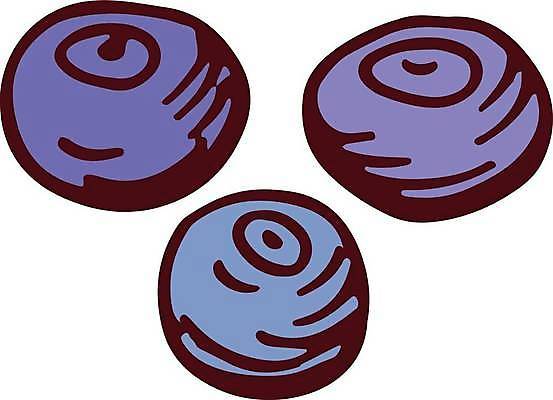 EPS 해외이미지 식물 손 열매 음식 컬러 백그라운드 잎 다이어트 일러스트 재료 자연 디저트 건강 파란색 정원 에너지 흰색 신선 달콤 맛 낙서 숲 설탕 스케치 먹기 그림 유기농 복고 블루베리 날것 윤곽 내추럴 고립 숙성 채식주의자 벡터 맛있는 해외202309 해외일러스트 웰빙 컨셉 과일 모션 미술 신체부위 생태계 채식 파일형식