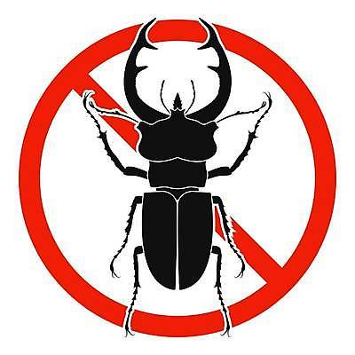 EPS 해외이미지 곤충 일러스트 경고 사람없음 픽토그램 금지 딱정벌레 심볼 해외202309 해외일러스트 동물 파일형식 벡터