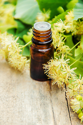 포토 JPG 해외이미지 꽃 백그라운드 자연 사람없음 뷰티 신선 오일 내추럴 해외202309 해외포토 식물 음식 화장품 생태계 파일형식