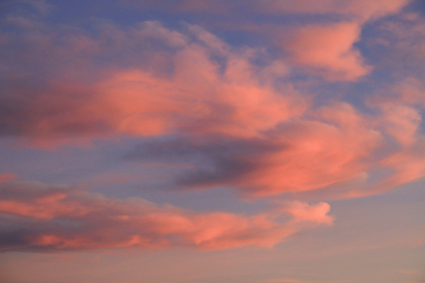 포토 JPG 해외이미지 나무 구름 분홍색 백그라운드 오렌지 자연 하늘 날씨 휴가 풍경 사람없음 야외 여름 빛 컬러풀 햇빛 태양 뷰티 노란색 환경 힘 황혼 일몰 놀람 새벽 활발 에너지 소나무 스페인 황금 야간 저녁 장면 공상 광 알리칸테 수평선 해외202309 해외포토 자연요소 식물 계절 감정 유럽 컬러 컨셉 과일 표정 노을 밤 생태계 파일형식