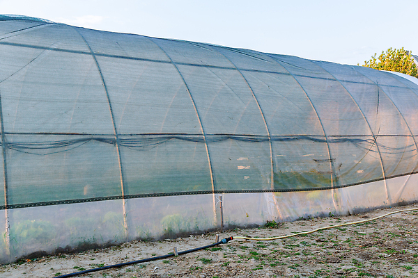 포토 JPG 해외이미지 모양 디자인 백그라운드 컨셉 패턴 건축양식 표면 프레임 경사 사람없음 야외 건물 장식 초록색 빛 울타리 어둠 보호 그늘 시원함 질감 보안 망사 골절 엘리먼트 온실 스타일 해외202309 해외포토 건축물 건축 컬러 무늬 의학 안전 담장 직물 파일형식