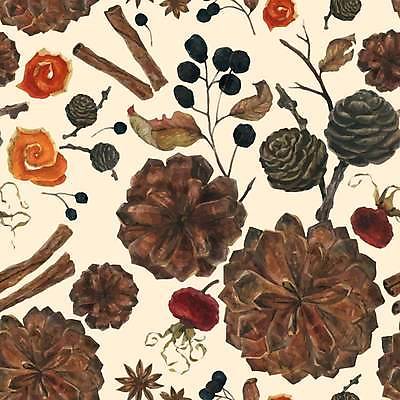 EPS 해외이미지 식물 열매 음식 크리스마스 겨울 패턴 다이어트 오렌지 과일 일러스트 재료 자연 벽지 휴가 수채화 새해 건조 미술 목재 장식 와인 페인트 껍질 직물 소나무 맛 숲 엉덩이 포장지 향신료 아로마 나무껍질 원뿔 따뜻한음료 시나몬 현실 해외202309 해외일러스트 도형 나무 계절 기념일 음료 컨셉 무늬 포장 문화예술 주류 건강 신체부위 생태계 향미료 파일형식 벡터