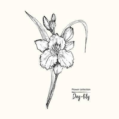 EPS 해외이미지 식물 디자인 꽃 실루엣 선 줄기 꽃다발 백그라운드 잎 꽃무늬 패턴 일러스트 추상 잉크 미술 그래픽 여름 검은색 수확 벚꽃 흰색 신용카드 화려 개화 그룹 낙서 인쇄 백합 스케치 문신 싱글 그림 윤곽 손그림 자수 판화 고립 구성 엘리먼트 벡터 국경 해외202309 해외일러스트 계절 컬러 컨셉 무늬 농업 문화예술 촬영기법 금융 파일형식