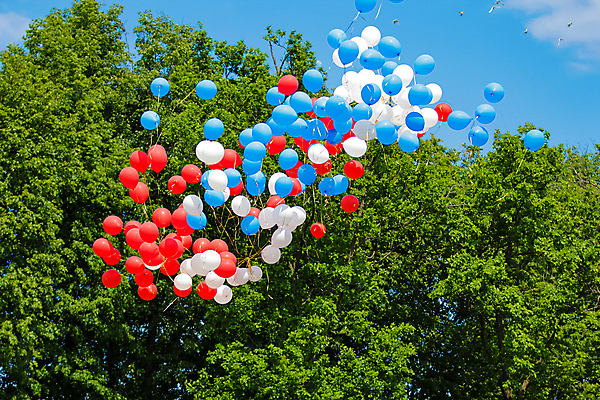 포토 JPG 해외이미지 나무 무지개 잎 모션 하늘 휴가 이벤트 사람없음 장식 초록색 여름 파란색 컬러풀 파티 축제 기쁨 자유 축하 그룹 숲 다발 심볼 풍선 색동 여의주 헬륨 해외202309 해외포토 자연요소 식물 계절 감정 컬러 컨셉 원소 파일형식