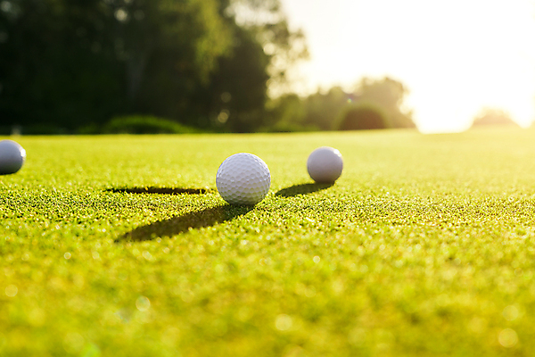 포토 JPG 해외이미지 스포츠 백그라운드 밭 골프 공 골프장 놀이 골프공 3 잔디 취미 사람없음 초록색 빛 태양 일몰 장비 골프채 게임 흰색 깃발 목표 강의 철 클럽 슛 골프티 넣기 때리기 페어웨이 놓기 해외202309 해외포토 자연요소 식물 컬러 컨셉 농업 스포츠시설 모션 골프용품 구기 노을 파일형식