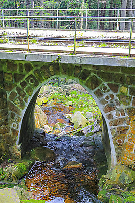 포토 JPG 해외이미지 나무 계절 공원 유럽 야생동물 여행 백그라운드 잎 오렌지 자연 휴식 산 독일 국립공원 풍경 사람없음 야외 목재 초록색 물 강 뷰티 노란색 환경 폭포 하이킹 흐름 가을 바위 신선 개울 숲 내추럴 해외202309 해외포토 자연요소 식물 동물 공공시설 나라 컬러 컨셉 과일 재료 레저 돌_바위 생태계 파일형식
