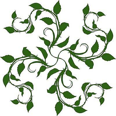 EPS 해외이미지 식물 디자인 꽃 실루엣 선 줄기 백그라운드 잎 꽃무늬 일러스트 자연 추상 미술 그래픽 장식 초록색 세트 장미 수확 흰색 나뭇가지 가시 문신 심볼 묘사 복고 윤곽 스파이크 나누기 고립 엘리먼트 벡터 해외202309 해외일러스트 나무 컬러 무늬 농업 문화예술 촬영기법 생태계 파일형식