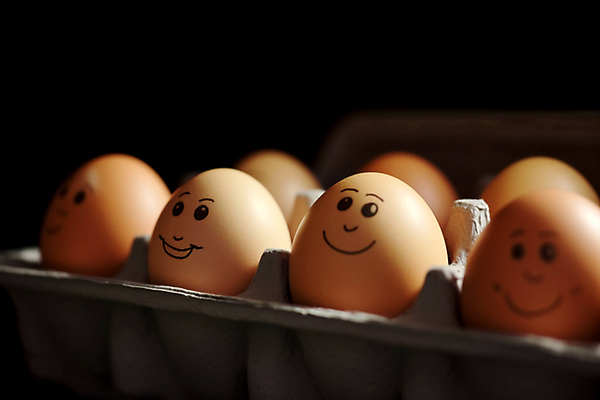 포토 JPG 해외이미지 행복 감정 얼굴 음식 백그라운드 컨셉 재료 아이디어 건강 미소 웃음 사람없음 상자 갈색 계란 어둠 기쁨 껍질 그룹 유머 아침식사 시원함 유기농 날것 이모티콘 고립 단백질 소셜 해외202309 해외포토 웰빙 컬러 표정 신체부위 알 식사 영양소 파일형식