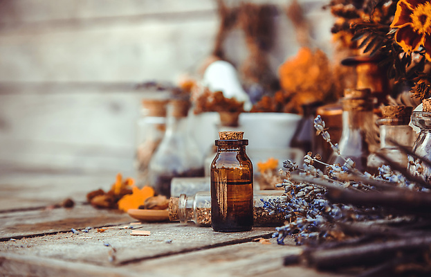 포토 JPG 해외이미지 꽃 유리병 사람없음 나뭇가지 약초 절구 드라이플라워 말린재료 해외202309 해외포토 나무 식물 병_용기 도구 풀_식물 파일형식